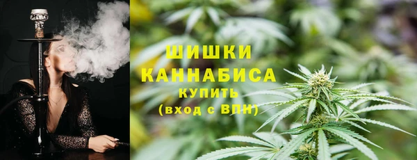 стафф Заволжье
