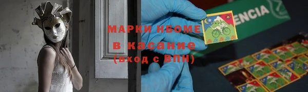 стафф Заволжье